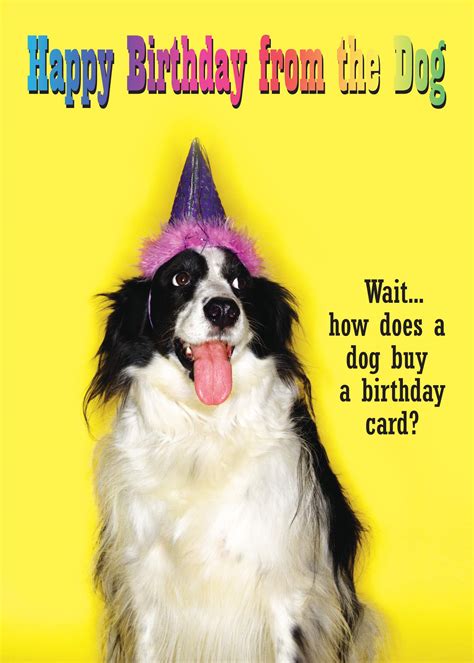 Happy Birthday Funny Dog Pictures