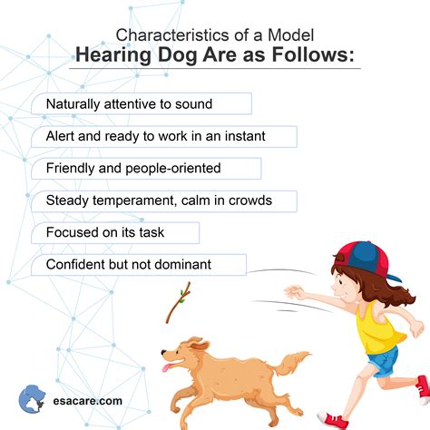 How to Get a Hearing Dog for The Deaf - ESA Care