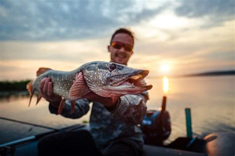 Northern Pike Teeth: Things You Probably Didn't Know » Pike Caster