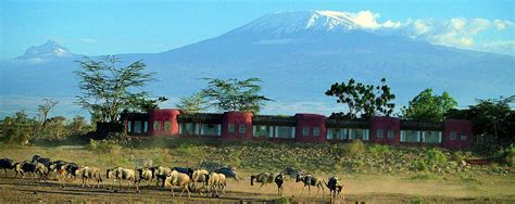 Amboseli Serena Safari Lodge - Kenya - AfricanMecca Safaris & Tours