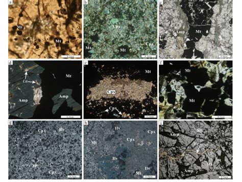 Photomicrographs showing mineralization-related skarn minerals. (a ...