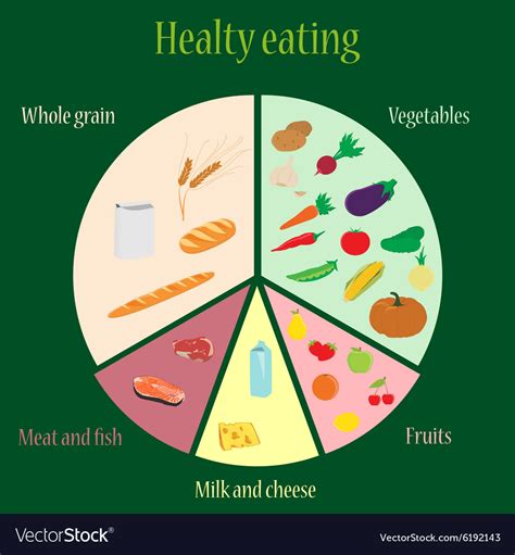 Healthy eating chart Royalty Free Vector Image - diagram