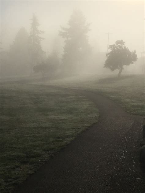 iPhone Photography in the Fog - Burnaby, BC - Jaden Nyberg Photography