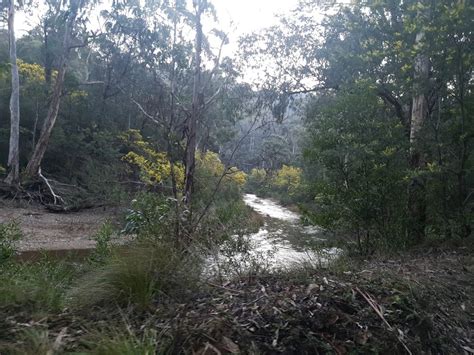 Baw Baw National Park - Baw Baw VIC 3833, Australia