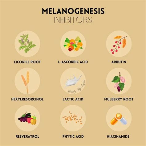 Melanogenesis inhibitors ️ in 2024 | Skincare ingredients, Licorice root, Resveratrol