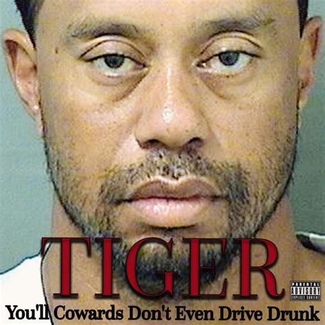 TIGER | Tiger Woods' Mugshot | Know Your Meme