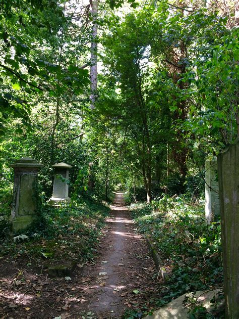 A thrilling walk through Abney Park Cemetery in central London — Go Jauntly