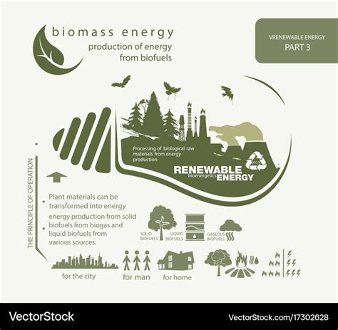 Infographics renewable source biomass energy Vector Image