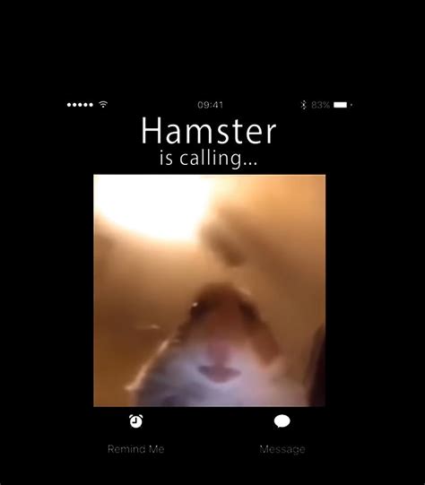 Dank Meme Hamster Staring Front Camera Hamster Calling Digital Art by Thanh Nguyen