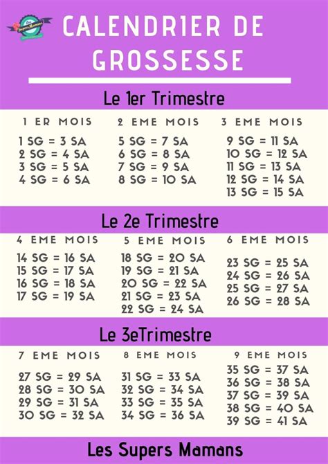 suivi grossesse gemellaire semaine après semaine