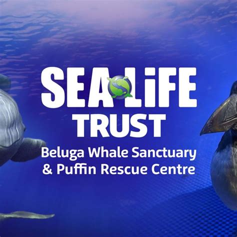 Beluga Whale Sanctuary | Official Website | Buy Tickets Online to Save