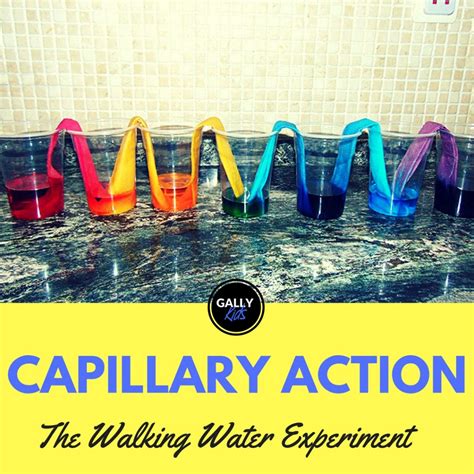 Capillary Action Experiment - Paper Towel Version: The Case Of The Traveling Water