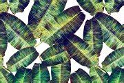 Tropical Leaves - Seamless Pattern | Graphic Patterns ~ Creative Market