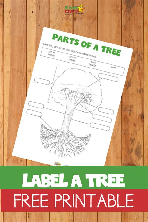 Label a Tree Free Printable - KiddyCharts Printables