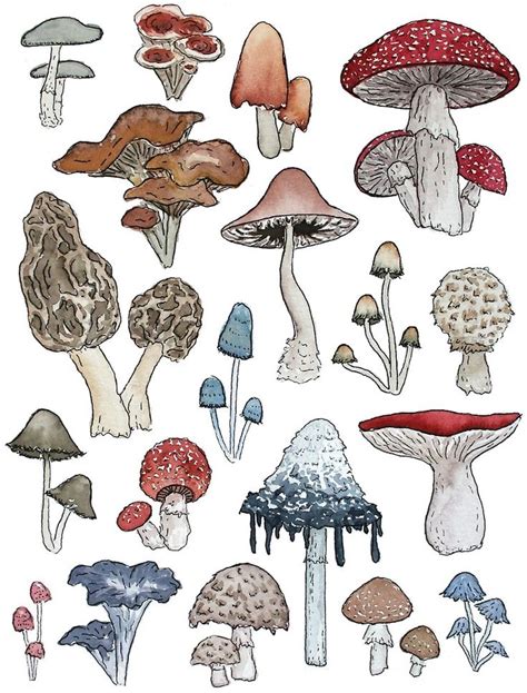 Mushrooms in watercolor, micron pen | Mushroom drawing, Hippie art, Mushroom art