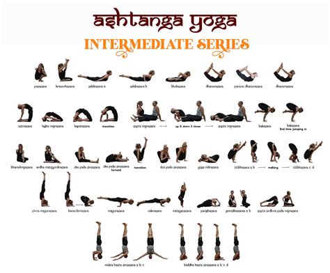 Everything You Need to Know About Ashtanga Yoga: Primary, Intermediate and Advanced Level Series ...