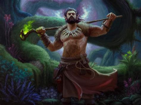 Circle of the Moon Druid MtG Art from Adventures in the Forgotten ...