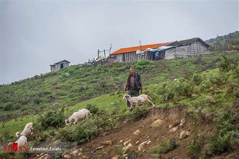 Magnificent Nature of Masal in Northern Iran