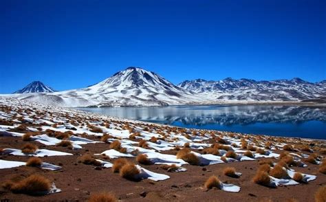 17 Best images about Desierto de Atacama on Pinterest | Lakes, Salts ...