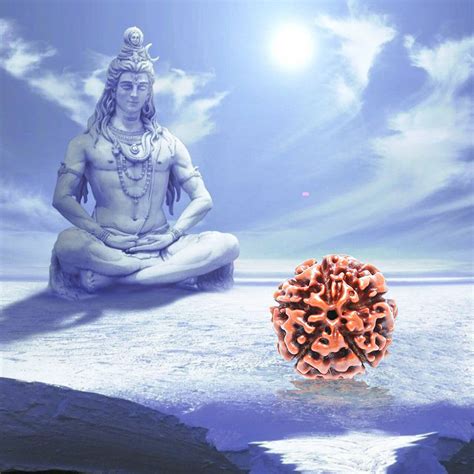 Shop Five Faced (5 Mukhi) Rudraksha Bead for Pooja, Meditation | HTS