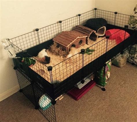 Gallery – C and C Guinea Pig Cages Guinea Pig Hutch, Guinea Pig House ...