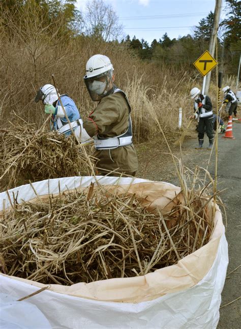 Radiation cleanup work begins in Fukushima nuclear plant town