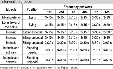 Figure 1 from EXERCISES AND NEUROMUSCULAR ELECTRIC STIMULATION FOR MEDIAL LONGITUDINAL ARCH ...