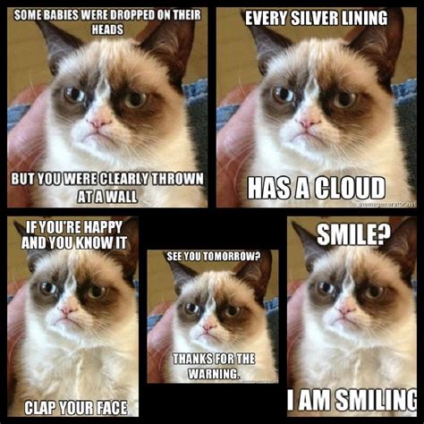 Grumpy Cat No Meme Grumpy Cat Quotes, Funny Grumpy Cat Memes, Cat Quotes Funny, Funny Cats ...