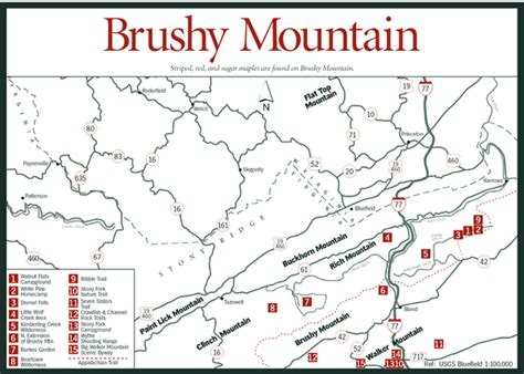 Sherpa Guides | Virginia | Mountains | Brushy Mountain