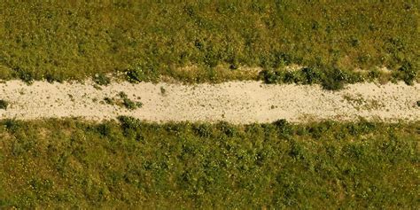 RoadsDirt0009 - Free Background Texture - path sand grass footpath dirt road green beige ...