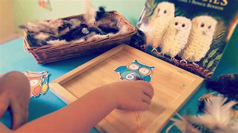 Owl Babies Counting Activity | Clare's Little Tots | Toddler learning ...