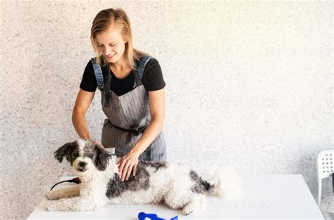 Blonde woman grooming a dog at home 3308311 Stock Photo at Vecteezy