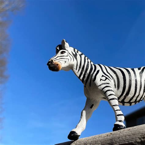 Plains Zebra Toy | Wildlife Animal Toys | Safari Ltd®