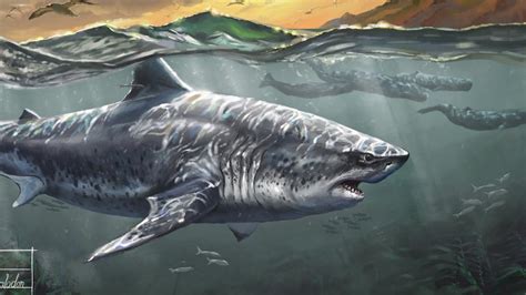 Megalodon Monster Shark