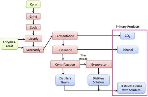 Bioethanol Production Process - Techooid.com