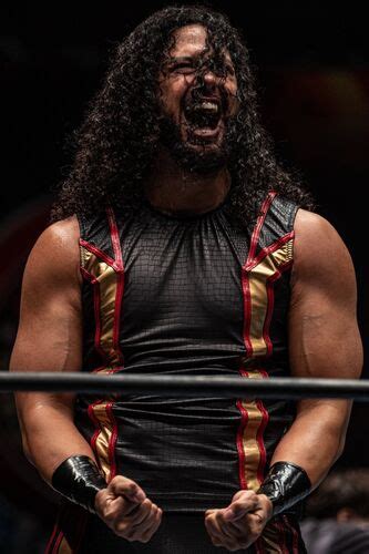 Hikuleo | Puroresu System Wiki | Fandom