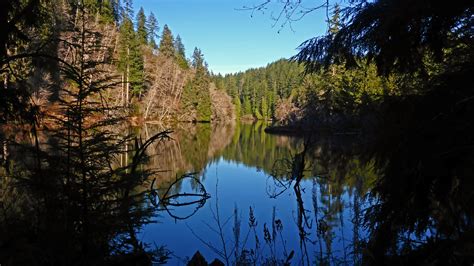 Day Hike - Lake Sylvia State Park/Montesano City Forest — The Mountaineers