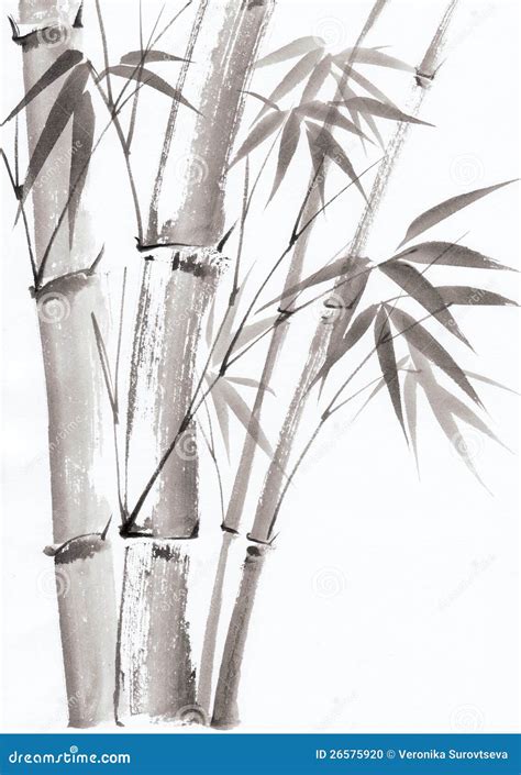 Watercolor Painting of Bamboo Stock Illustration - Illustration of ...