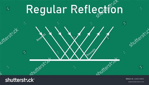 Regular Reflection Light Diagram Vector Illustration Stock Vector (Royalty Free) 2260119855 ...