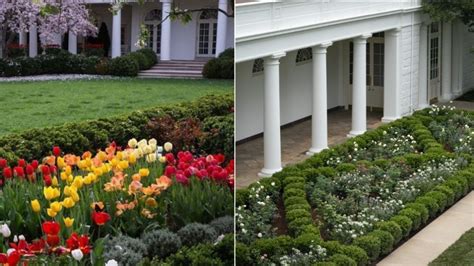 Why The White House Rose Garden Has The Internet Seeing Red