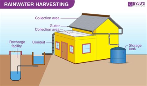 Rainwater Harvesting -Process, Advantages and Disadvantages