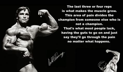 Quotes about Arnold Schwarzenegger (129 quotes)