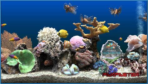 🔥 [50+] Marine Aquarium Wallpapers | WallpaperSafari