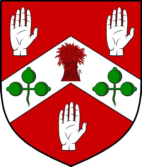 O‘Cullen Family Crest / Irish Coat of Arms Image Download - Tradebit