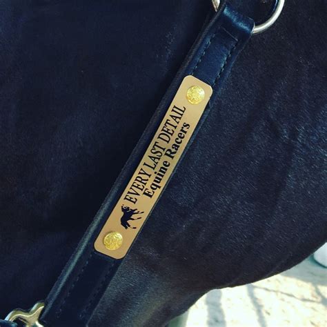 HORSE HALTER Name Plates w/ chicago screws Bridle Saddle | Etsy