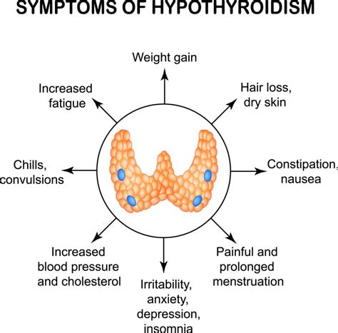 Your Thyroid And Heart Disease - Magaziner