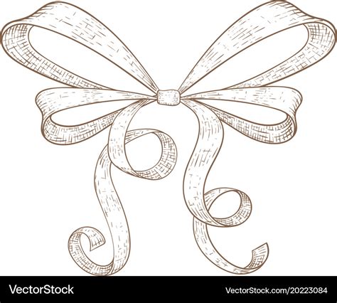 Ribbon bow hand drawn sketch Royalty Free Vector Image