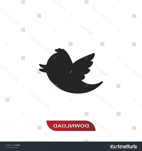 Twitter Bird Vector at Vectorified.com | Collection of Twitter Bird Vector free for personal use