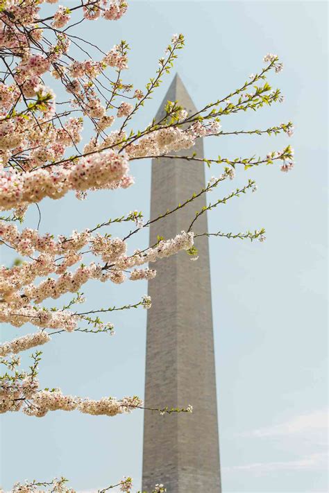 25 Historic Buildings in Washington, DC