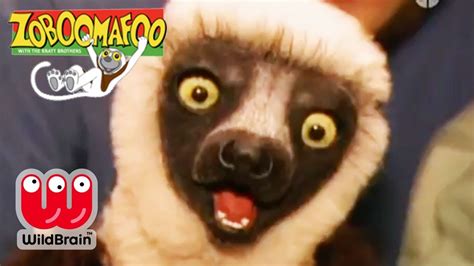 Zoboomafoo Animal Kids